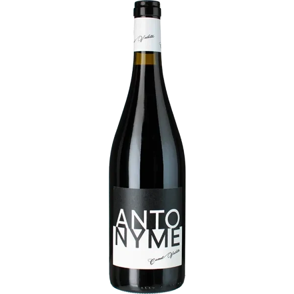 Antonyme 2024 - Domaine Canet Valette