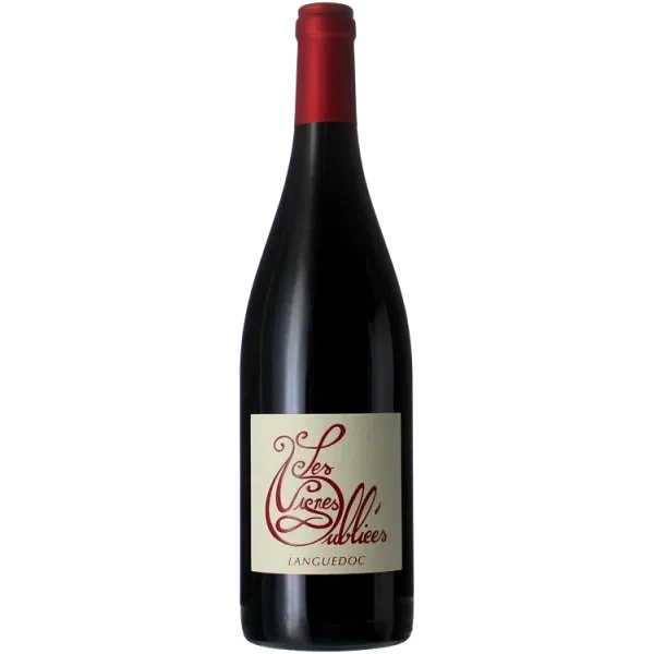 Autour du Cinsault 2025 - Les Vignes Oubliées