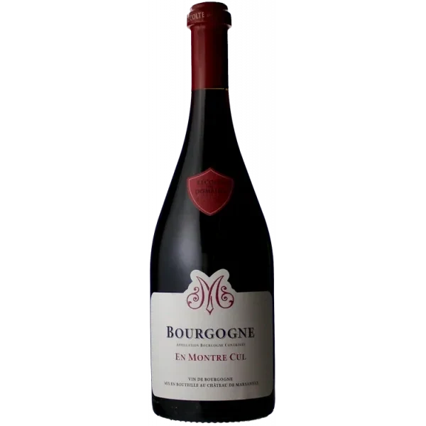 Bourgogne en Montre-Cul 2022 Rouge - Château de Marsannay