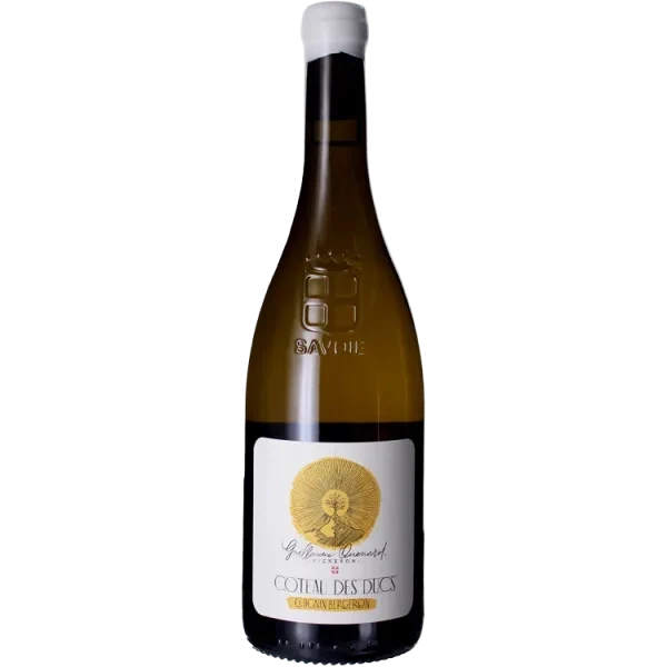 Chignin Bergeron - Coteau Des Ducs 2022 - Domaine du Coteau de Tormery - Guillaume Quénard