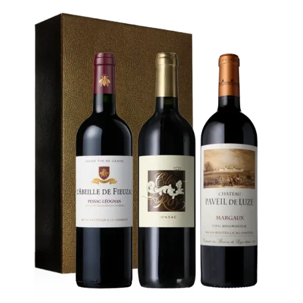 Estuche 3 Botellas - 90+/100 Parker 100% Bordeaux
