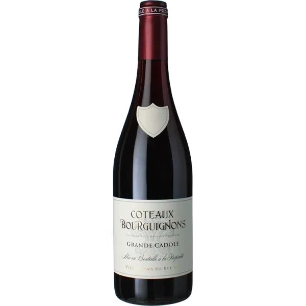 Côteaux Bourguignons - la Grande Cadole 2024 - Vignerons de Bel Air