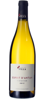 Esprit d'Antan Blanc 2024 - Pierre-Jean Villa