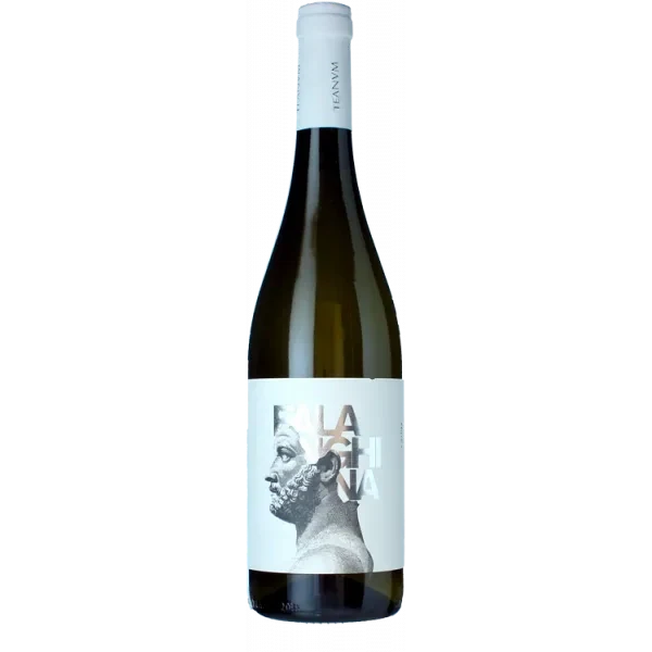 Favugnë Falanghina Bianco 2025 - Cantine Teanum
