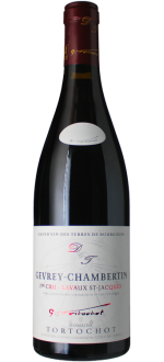 Gevrey Chambertin - 1er Cru Les Champeaux 2023 - Domaine Tortochot