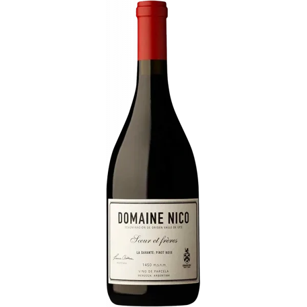 La Savante Pinot Noir 2022 - Domaine Nico