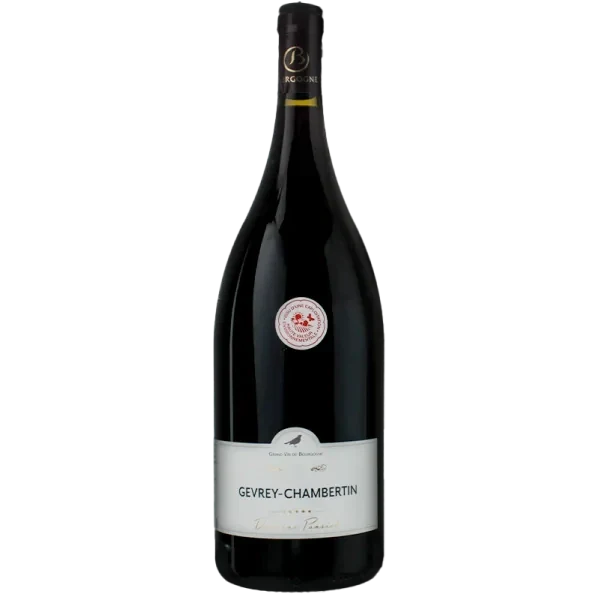 Magnum Gevrey Chambertin 2023 - Domaine Pansiot