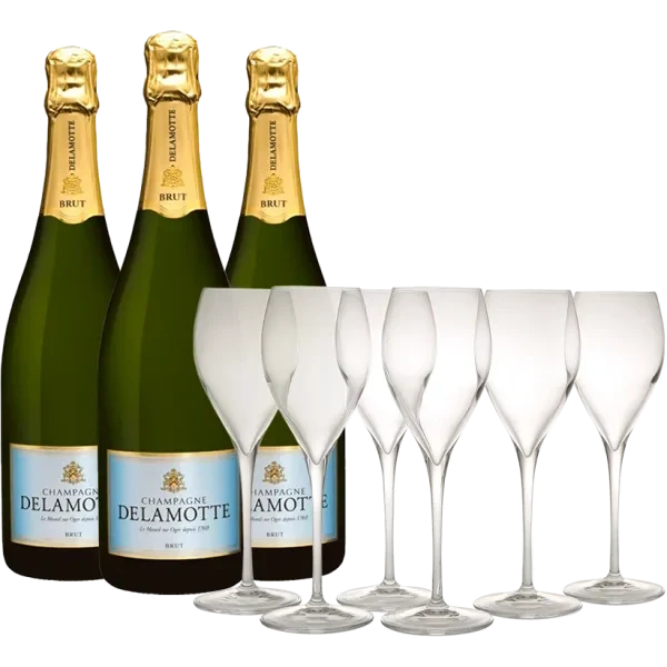 Pack 3 Champagnes Brut Delamotte - Étui + 6 verres offerts