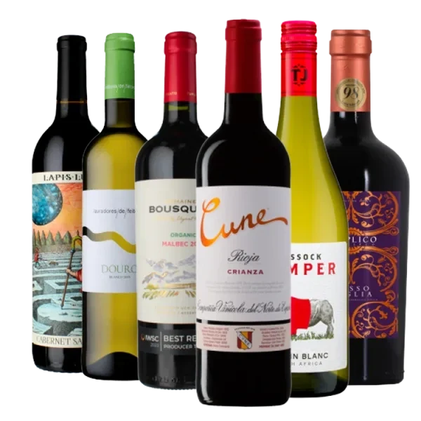 Pack Especial Vuelta al Mundo