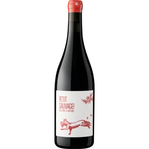 Petit Sauvage rouge 2025 - Cépage résistant - Pierre & Antonin