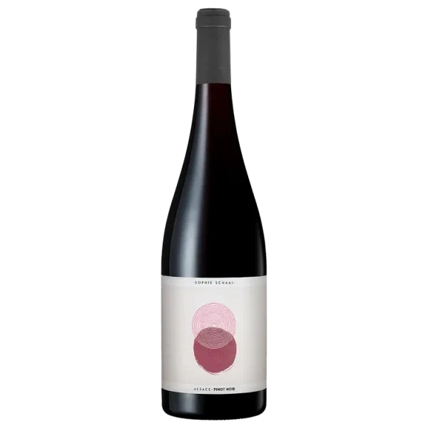 Pinot Noir 2025 - Sophie Schaal