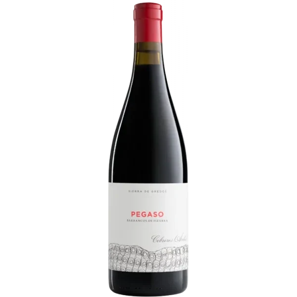 Pizarra 2022 - Pegaso - Telmo Rodríguez