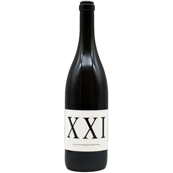XXI BLANCO 2021 - Didier Dagueneau
